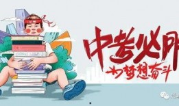 郑恺收入爆料最新消息视频,最新爆料视频揭示惊人收入真相