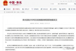 寿光最新爆料消息公布时间,揭秘事件背后真相，时间线梳理