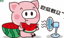 吃瓜娱乐说,吃瓜群众揭秘明星幕后故事